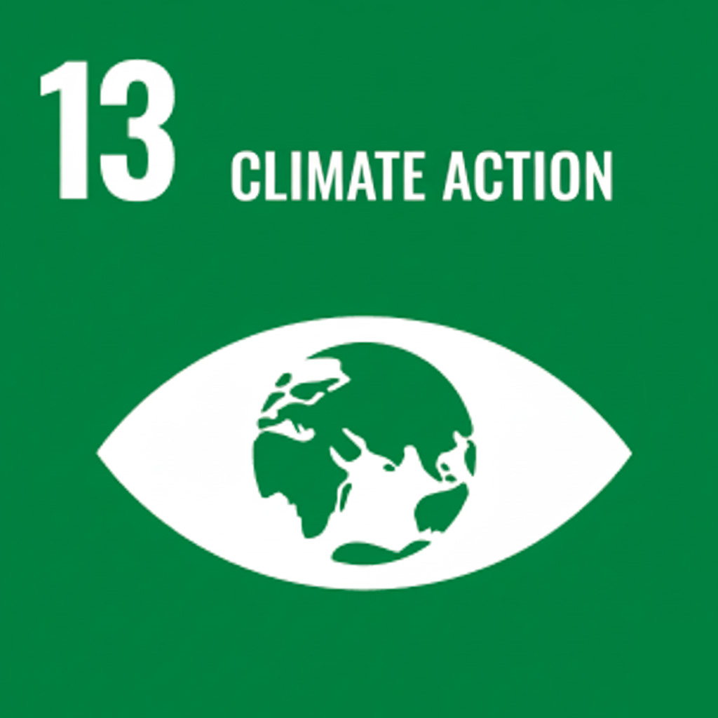 13 Climate Action