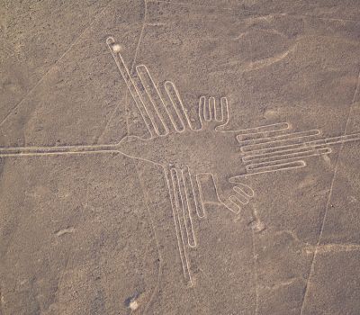 Colibri Lineas De Nazca