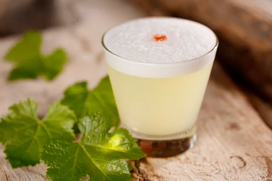 Pisco Sour