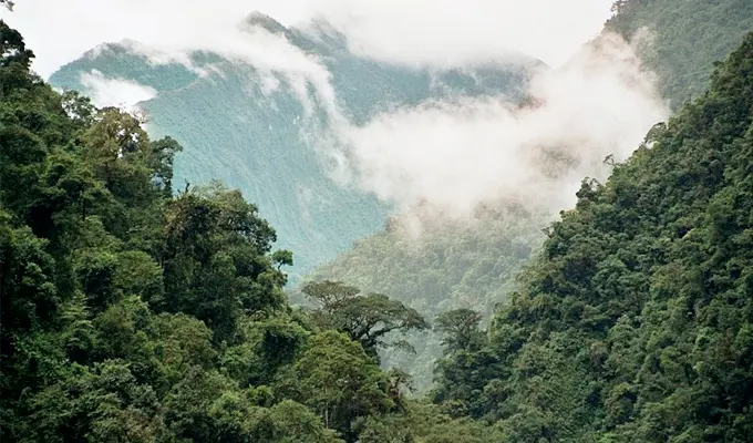 Clima Amazonia dentro de una experiencia de viaje