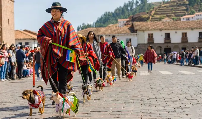 Paseo De Mascotas
