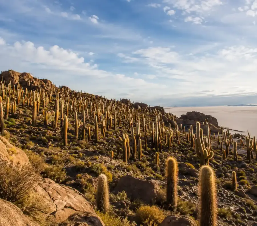Isla Incahuasi