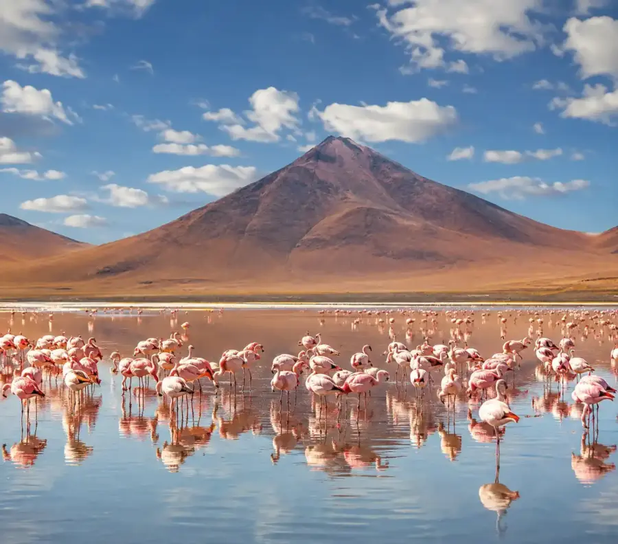 Laguna Colorada