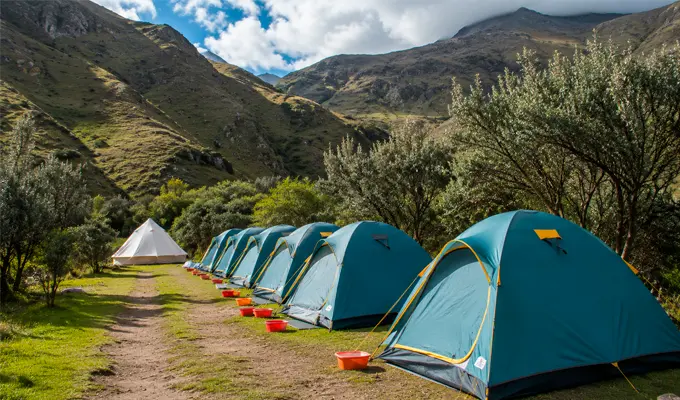 Campamento En El Campo