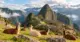 Llamas En Machu Picchu